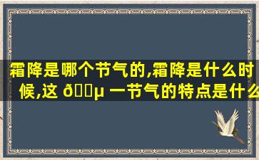 霜降是哪个节气的,霜降是什么时候,这 🌵 一节气的特点是什么